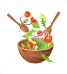 انواع پیش غذا ها